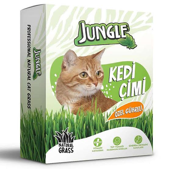 JUNGLE KEDİ ÇİMİ