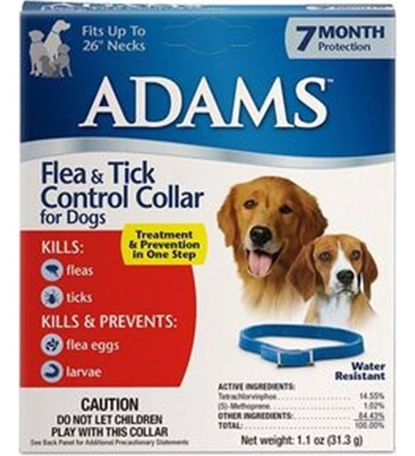 ADAM'S BİT PİRE TASMASI