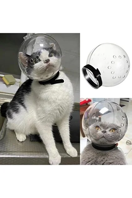 KEDİ KÜRESİ